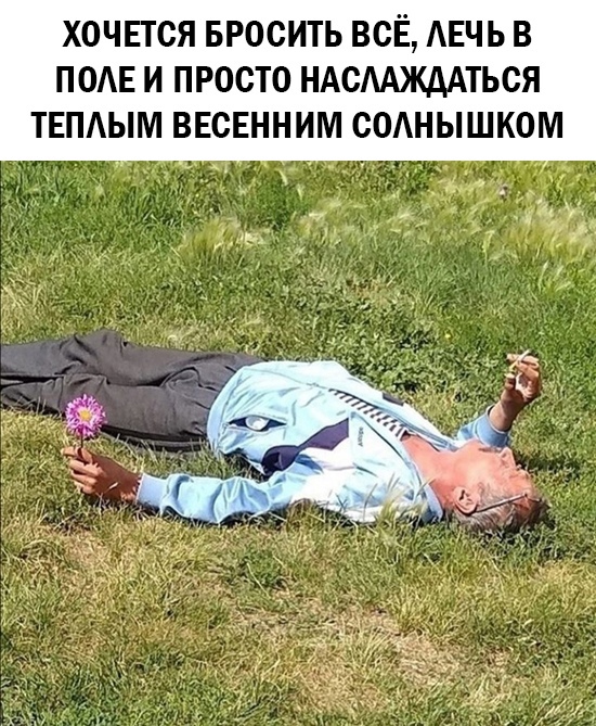 Подборка смешных картинок  приколы,смешные картинки,юмор