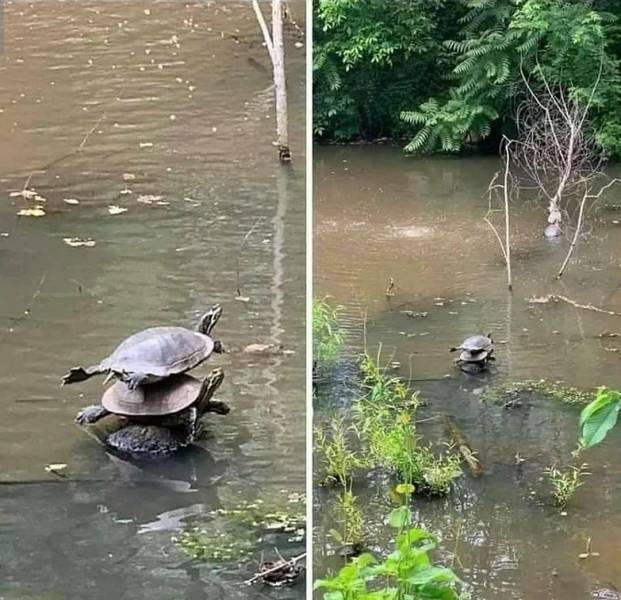 Подборка смешных картинок  приколы,смешные картинки,юмор