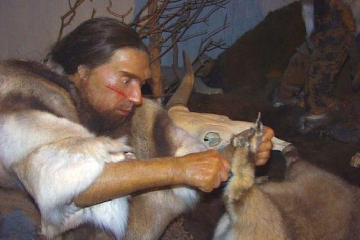 10 популярных теорий о том, почему вымерли неандертальцы