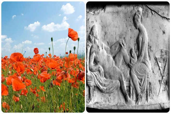 Излюбленным наркотиком древних египтян был опиум - "растение радости". Опиум получали из мака, вызывающего сонливость. А при правильной дозировке врач мог бы вырубить беременную лошадь.