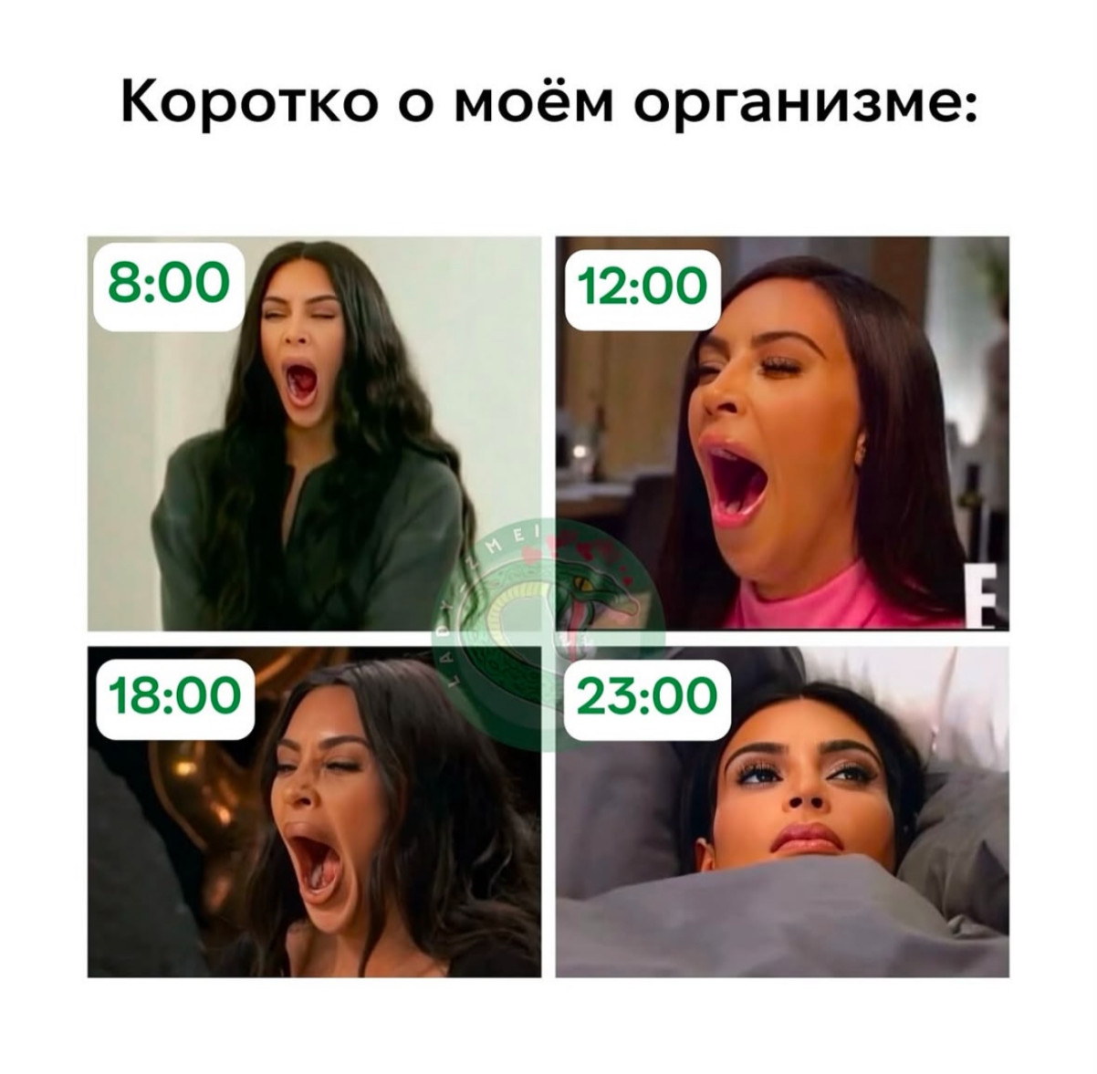 Галюсик с днем рождения открытки