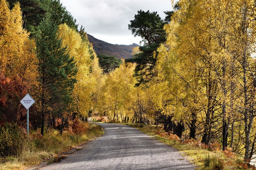 Невероятная Шотландия в разное время года Невероятная Шотландия в разное время года Путешествия,фото