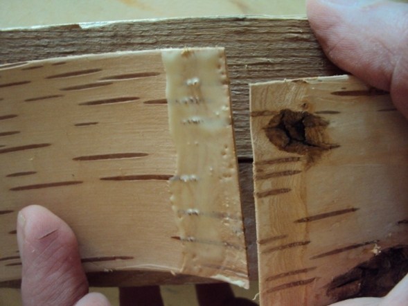 Шкатулка из бересты своими руками Шкатулка из бересты своими руками очумелые ручки