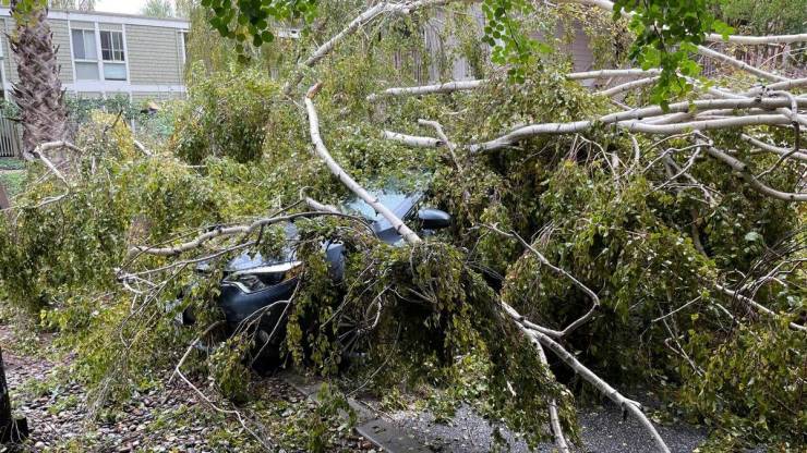 Подборка прикольных картинок Подборка прикольных картинок приколы,смешные картинки,юмор