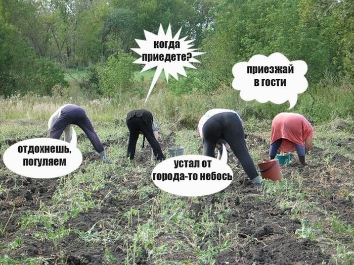 Дачный юмор 