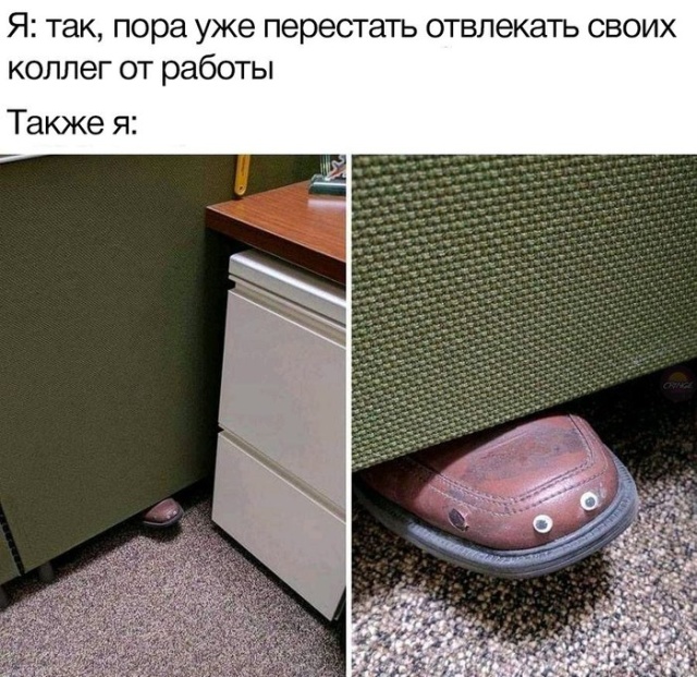 Фотоподборка вторника юмор