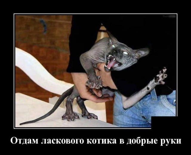 Валяется в лесу под деревом Красная Шапочка.. Валяется в лесу под деревом Красная Шапочка.. анекдоты,веселье,демотиваторы,приколы,смех,юмор