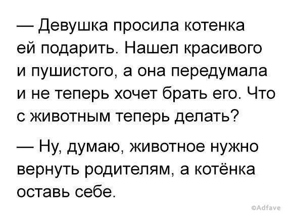 Смешные шутки для хорошего настроения Смешные шутки для хорошего настроения