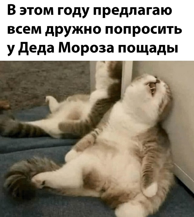 Подборка прикольных картинок  приколы,смешные картинки,юмор