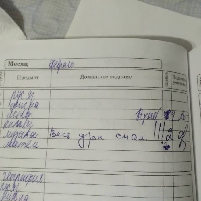 15 убойных замечаний в дневниках, после которых родителей вызывают в школу 15 убойных замечаний в дневниках, после которых родителей вызывают в школу