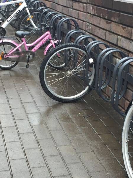 Подборка картинок. Дневной выпуск (55 фото)