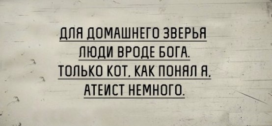 Для успеха в 2017 году дружно кукарекаем под бой курантов! открытки, приколы, юмор