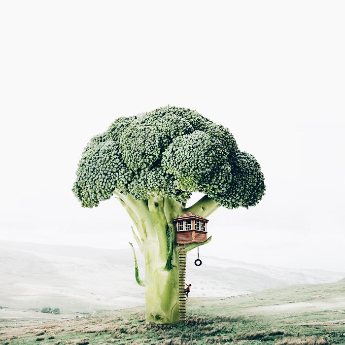 Surreal Art By Luisa Azevedo