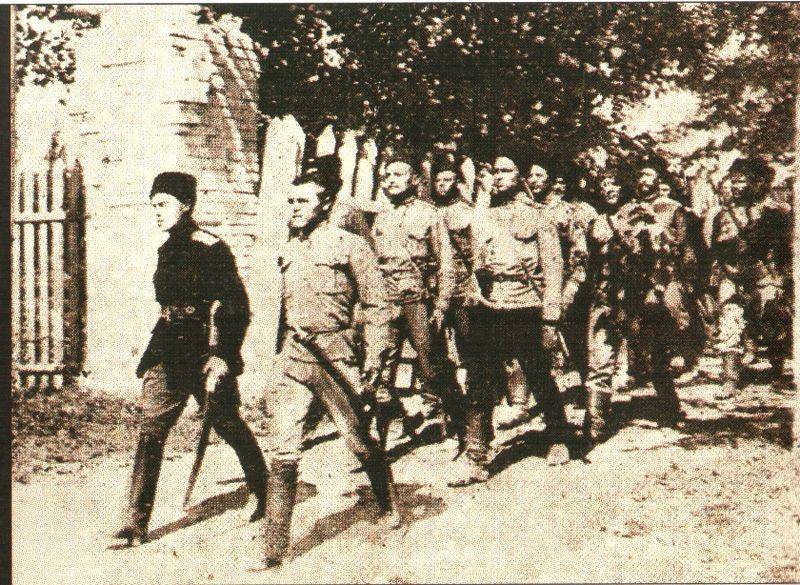 Августовское контрнаступление Южного фронта Августовское контрнаступление Южного фронта история