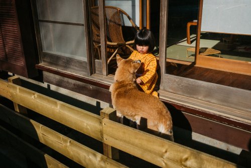 Причудливые и необычные моменты из жизни японцев в фотографиях Сина Ногути 