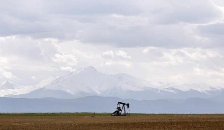 n oil derrick can be seen in a field near Denver, Colorado May 16, 2008. REUTERS/Lucas Jackson (UNITED STATES) 