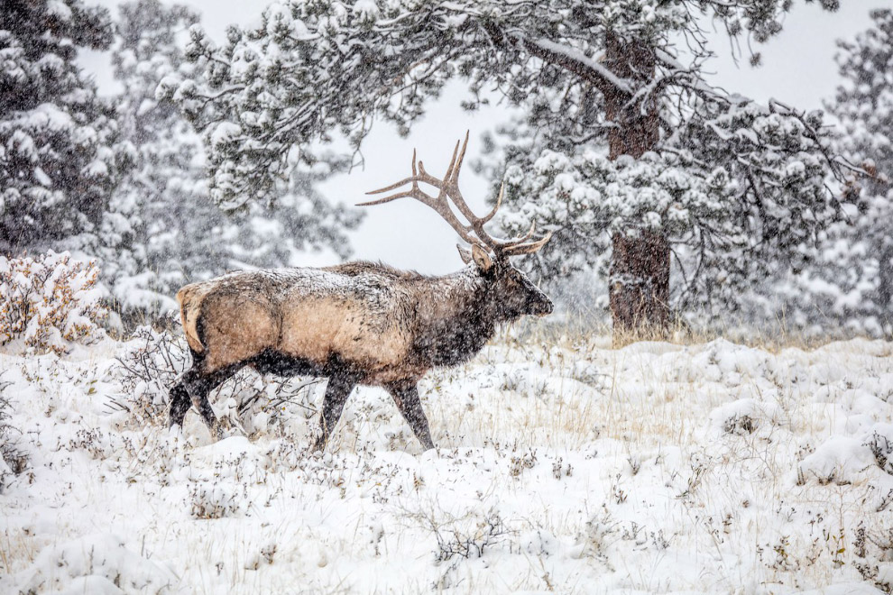 Путешествие в «Столетний штат» Путешествие в «Столетний штат» красота,природа,США