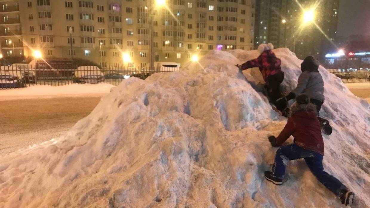 Профессор Попова допустила, что петербургские «дворники как класс уже умерли»