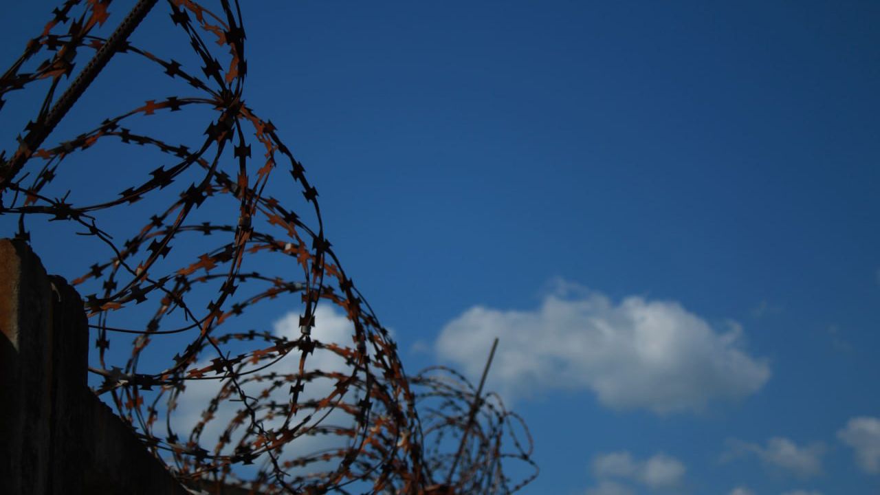 Украина попросила Россию назвать имена пострадавших во время обстрела колонии в Еленовке