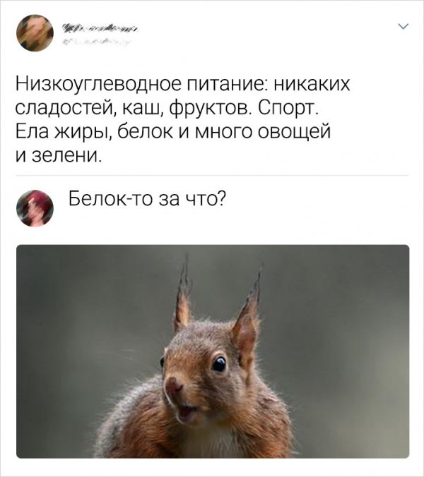 Подборка забавных комментариев Подборка забавных комментариев