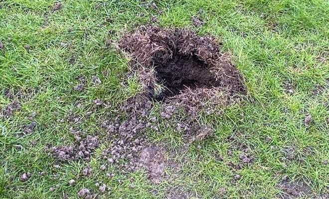 Немец нашел с утра перед домом черный камень. Анализ показал, что он прилетел из точки между Юпитером и Марсом Немец нашел с утра перед домом черный камень. Анализ показал, что он прилетел из точки между Юпитером и Марсом Культура