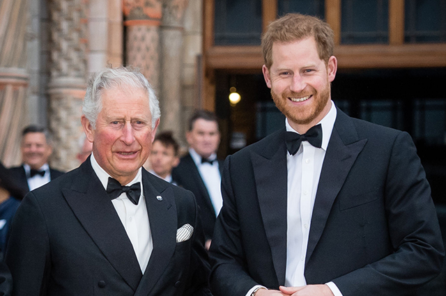 Королевская семья обеспокоена выходом предстоящих мемуаров принца Гарри: "Он ставит монархию под угрозу" Монархии