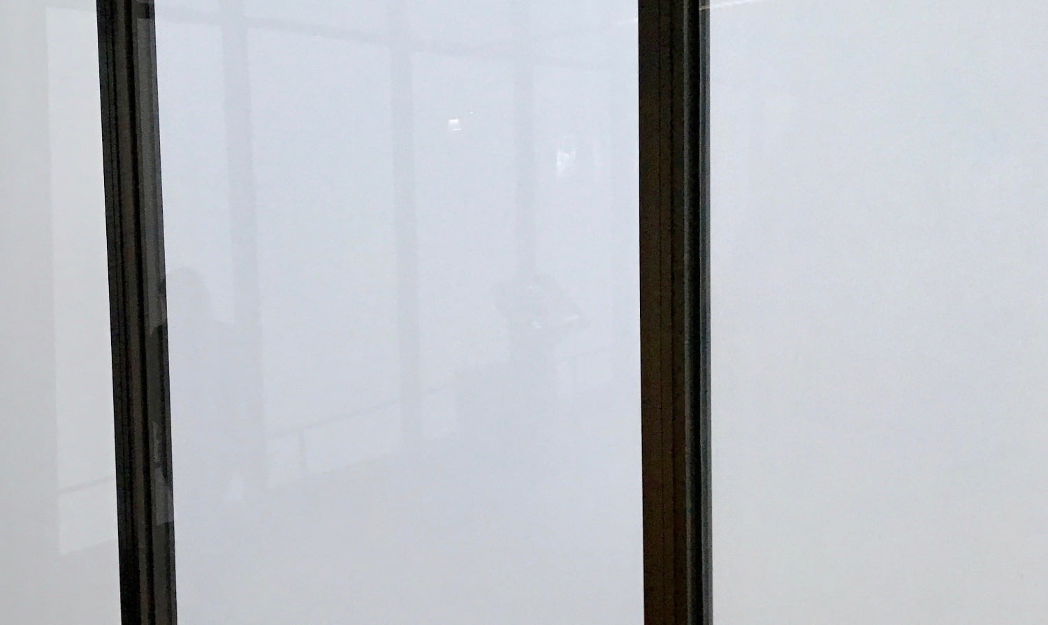 Что общего между Чикаго и Петербургом заграница,страны,туризм