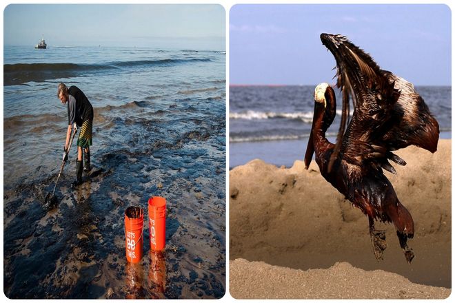 Влияние человечества на мир неоспоримо: сейчас на Земле проживает более 8 миллиардов человек. Последствия настолько глубоки, что некоторые экологи всерьез предложили новое название этой эпохи истории Земли - Антропоцен. Или эпоха человечества.