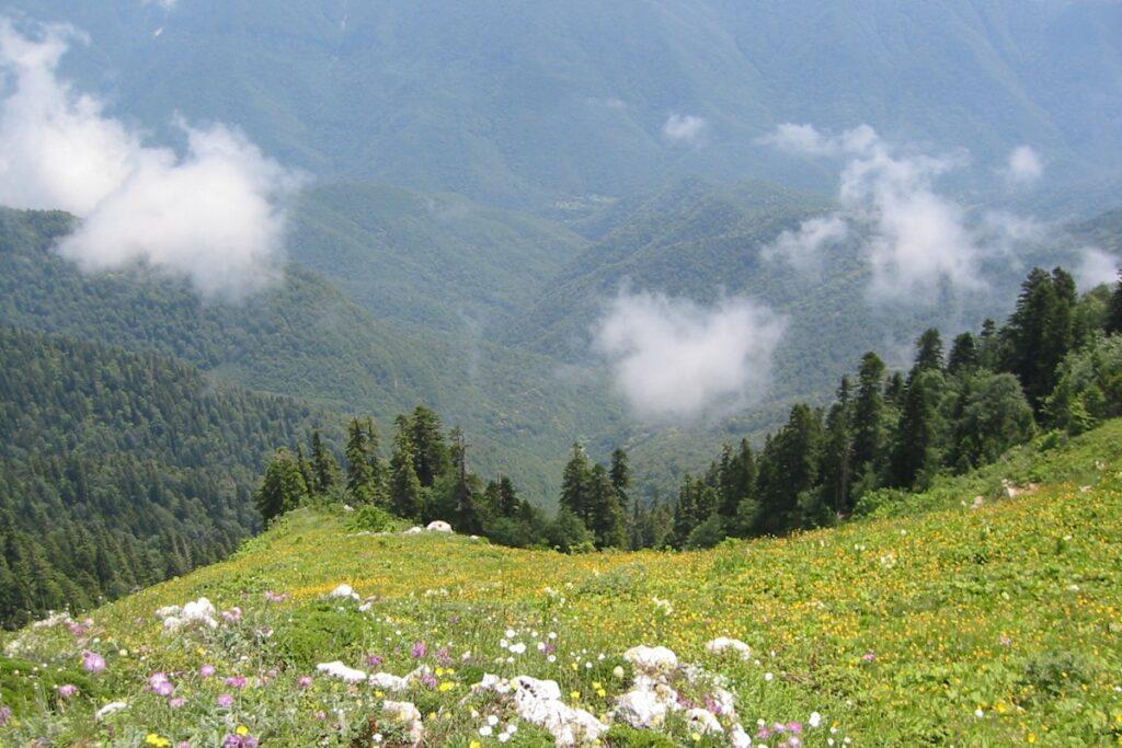 Как избежать проблем в Абхазии: топ-5 запретов для россиян