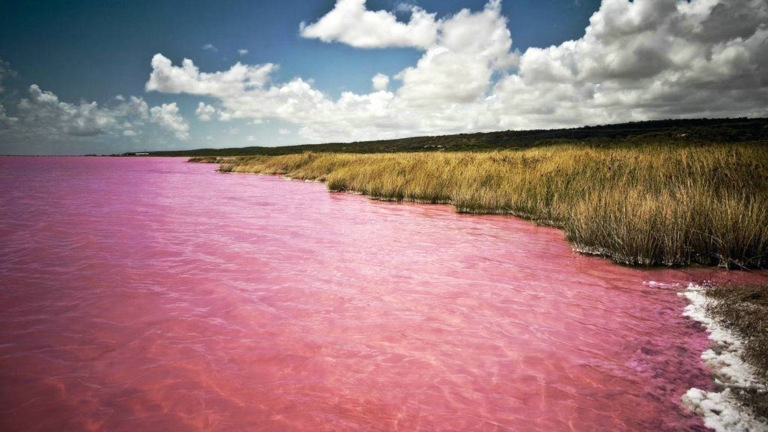 Siberian pink lake
