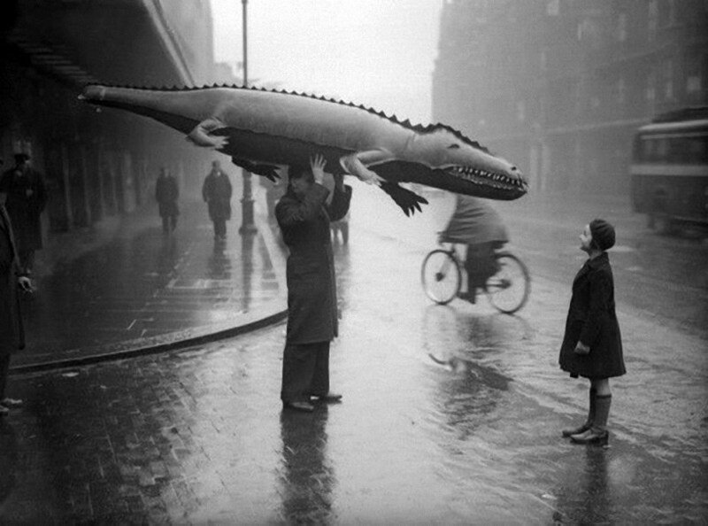 Позитивный фотограф Джон Дрисдейл Фотография