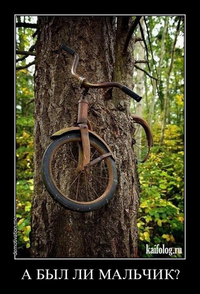 Веселые картинки для зарядки позитивчиком с утра Веселые картинки для зарядки позитивчиком с утра