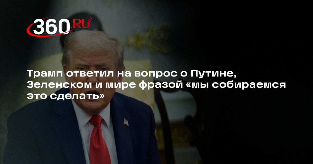 Трамп ответил на вопрос о Путине, Зеленском и мире фразой «мы собираемся это сделать»