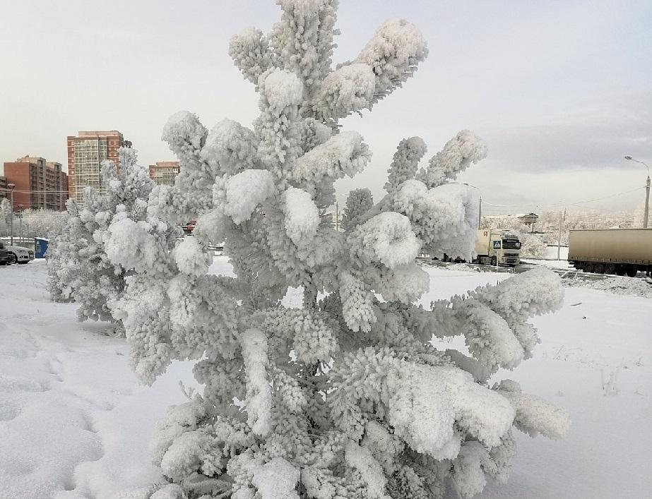 Погода зиме иркутской области на 10 дней. Морозы Иркутск. Иркутск зимой. Декабрь в Иркутске. Заснеженный Иркутск.