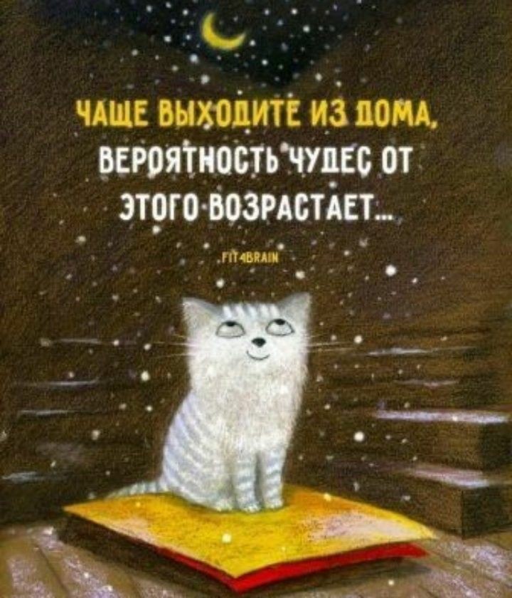 Лучшие анекдоты и шуточки дня: веселая подборочка! 