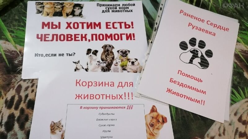 «Тележки добра» для бездомных животных появились в магазинах Мордовии