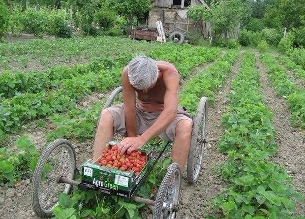 Любопытные факты, которые вас удивят почти, около, смерти, Самая, гораздо, Подвал, Италия, Канализационный, Висбадене, Германия, Лаборатория, CocaCola, хранятся, Толедо, рецепты, популярного, напитка, Чайная, ложка, результат