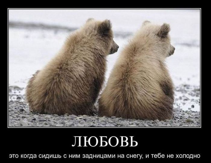 Забавные демотиваторы для хорошего настроения (11 фото)