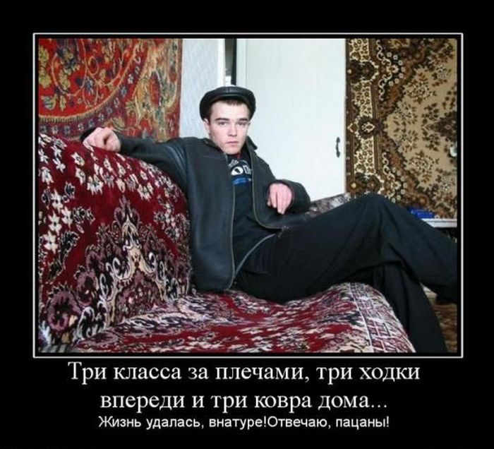 Веселые и смешные демотиваторы для настроения (10 фото)