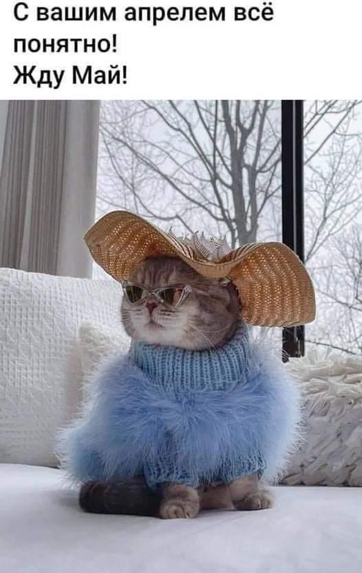 - А я свою ласково называю: зайка моя, рыбка моя, птичка моя... - А я свою ласково называю: зайка моя, рыбка моя, птичка моя... Весёлые,прикольные и забавные фотки и картинки,А так же анекдоты и приятное общение