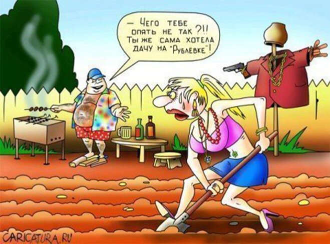 Дачный юмор 