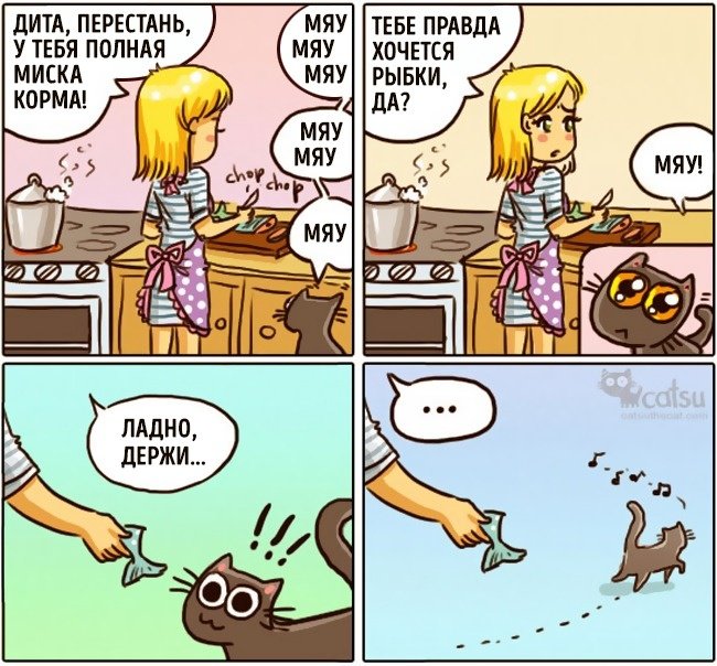 Забавные комиксы про жизнь с кошкой