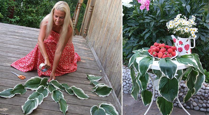 Как сделать за 5 минут красивую растительную скатерть для дачного праздника для дома и дачи,мастер-класс