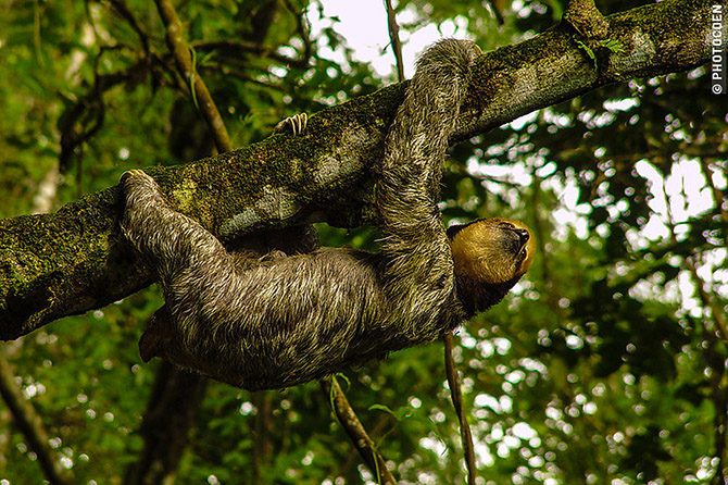 Край чудес: Гвиана, Гайана, Суринам мир,самостоятельные путешествия,суринам