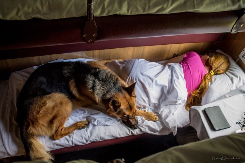 Скукота. ПОЕЗДАтая подборка Скукота. ПОЕЗДАтая подборка поездка