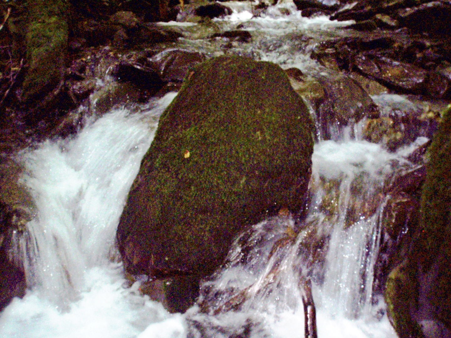 Красная Поляна. Прогулка вдоль реки Бешенка Красная Поляна. Прогулка вдоль реки Бешенка
