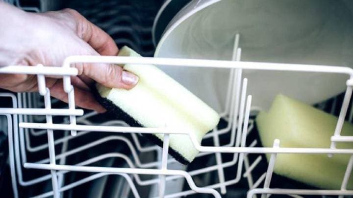 Кухонная губка: все, что нужно знать домохозяйкам губку, посуды, губка, мытья, губки, можно, бактерий, неделю, только, быстро, каплей, правило, микроволновке, использовать, должна, губкой, чтобы, домашних, раковине, после