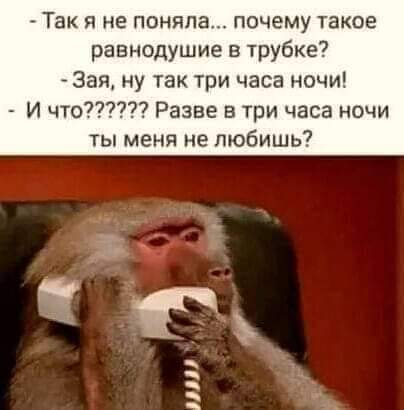 Из всего прогноза синоптиков совпало только "завтра ожидается"