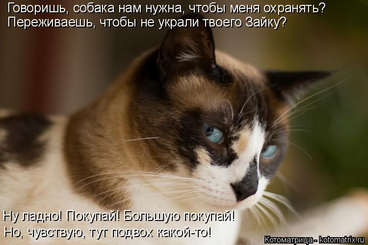 Котоматрица: Говоришь, собака нам нужна, чтобы меня охранять? Переживаешь, чтобы не украли твоего Зайку? Ну ладно! Покупай! Большую покупай! Но, чувствую, 