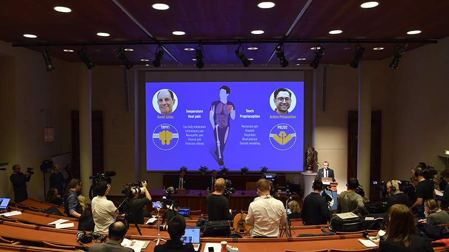 Пресс-конференция в Каролинском институте после объявления лауреатов Нобелевской премии по физиологии и медицине, 4 октября 2021 года